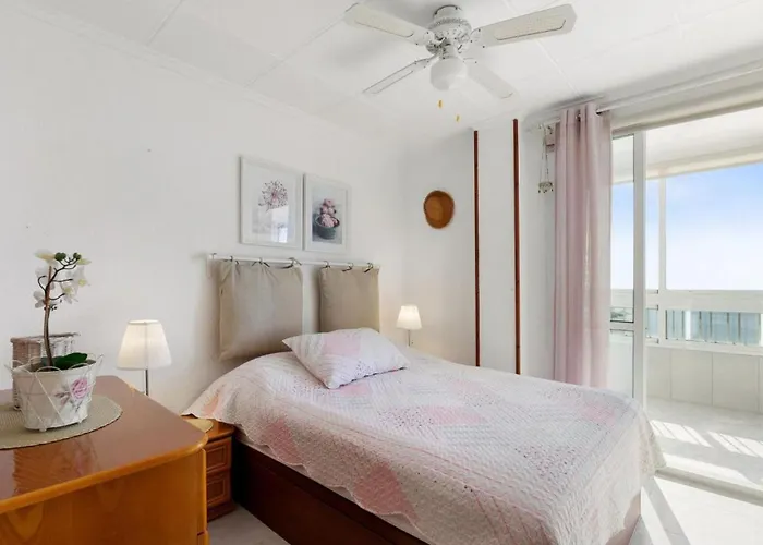 Alegria Id196 * Torrevieja