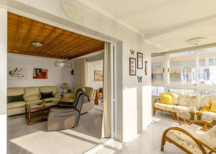 Alegria Id196 Torrevieja