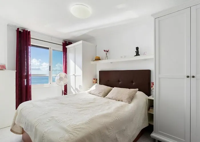 Alegria Id196 Torrevieja